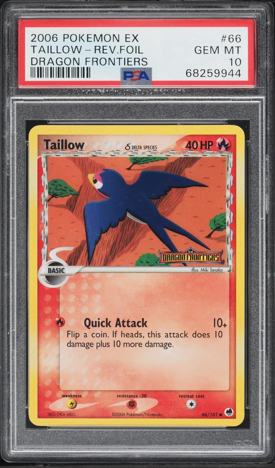 Tailow δ