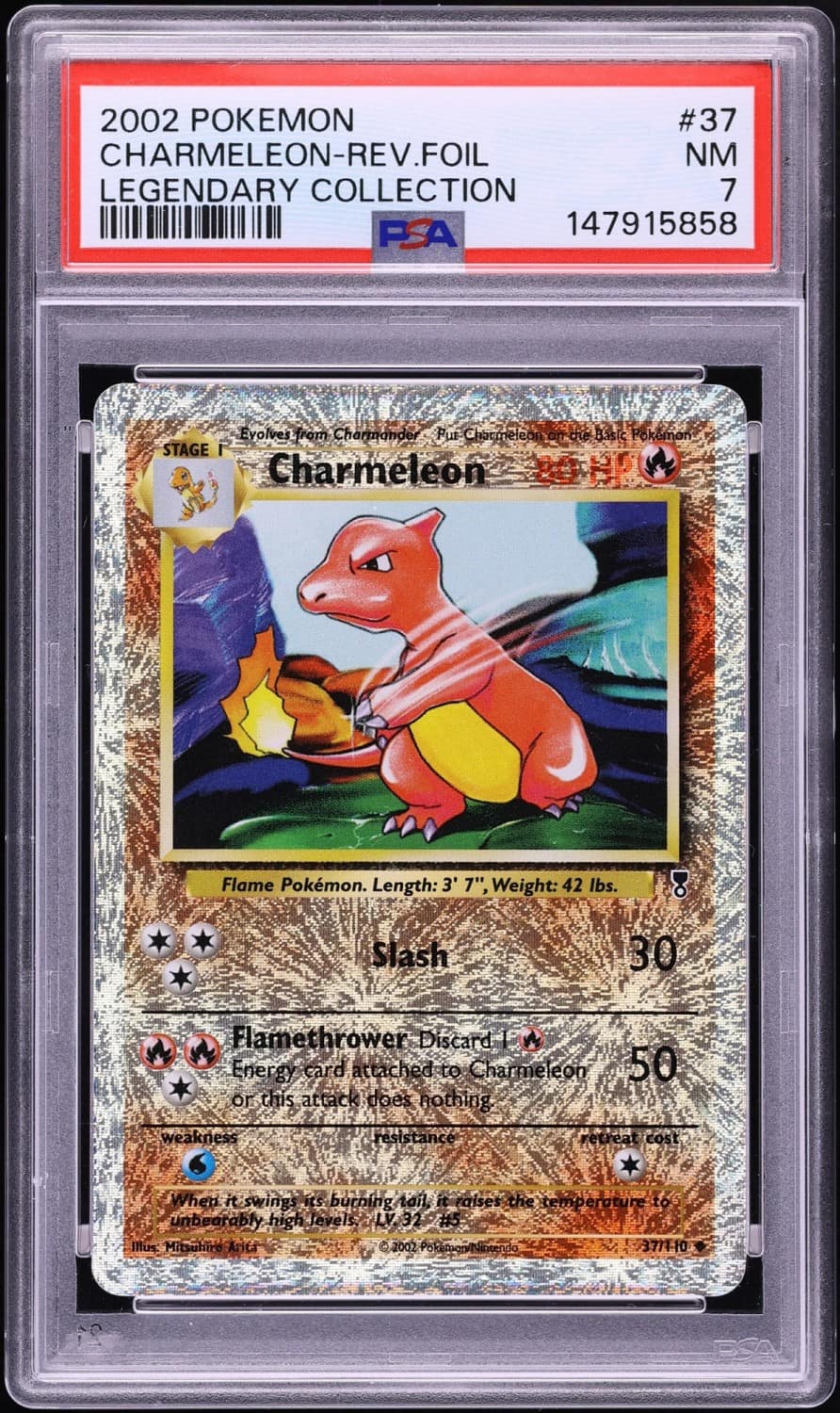 Charmeleon