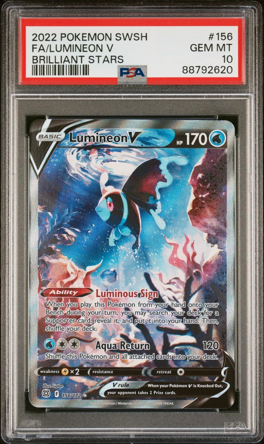Lumineon V