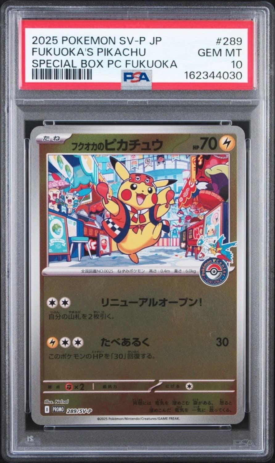 Fukuoka'S Pikachu