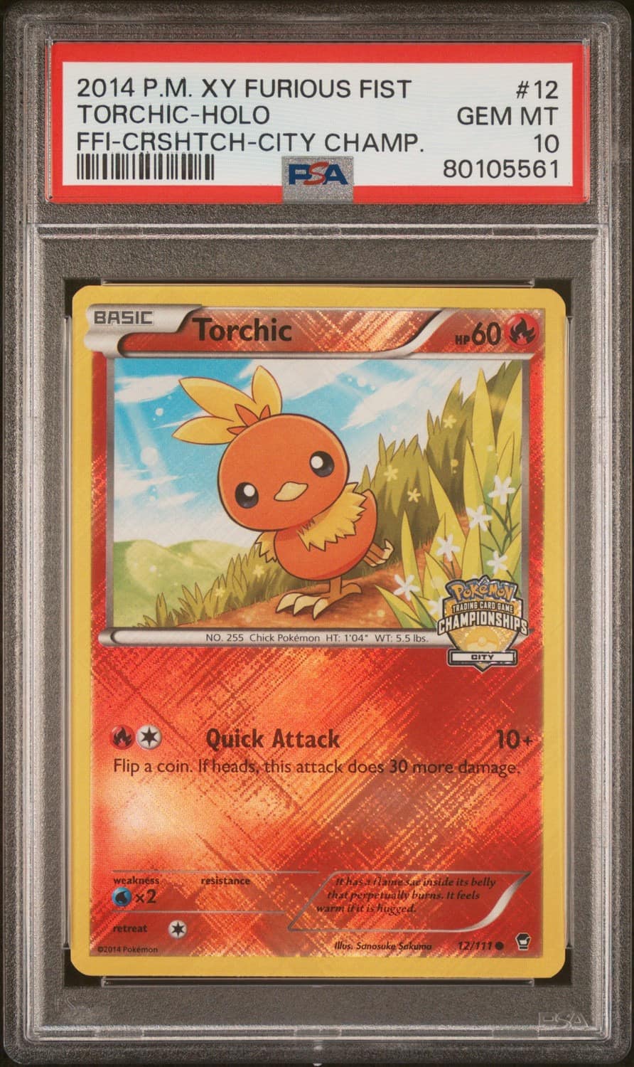 Torchic