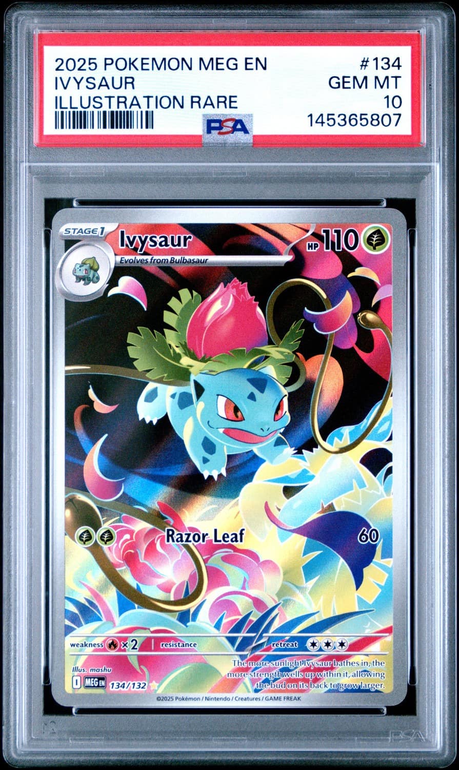 Ivysaur