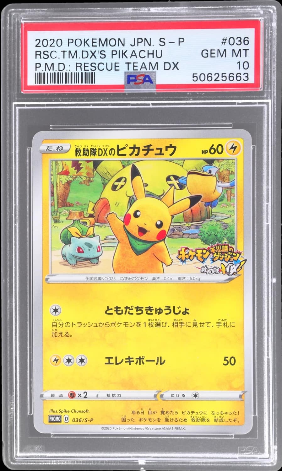 Rescue Team Dx'S Pikachu