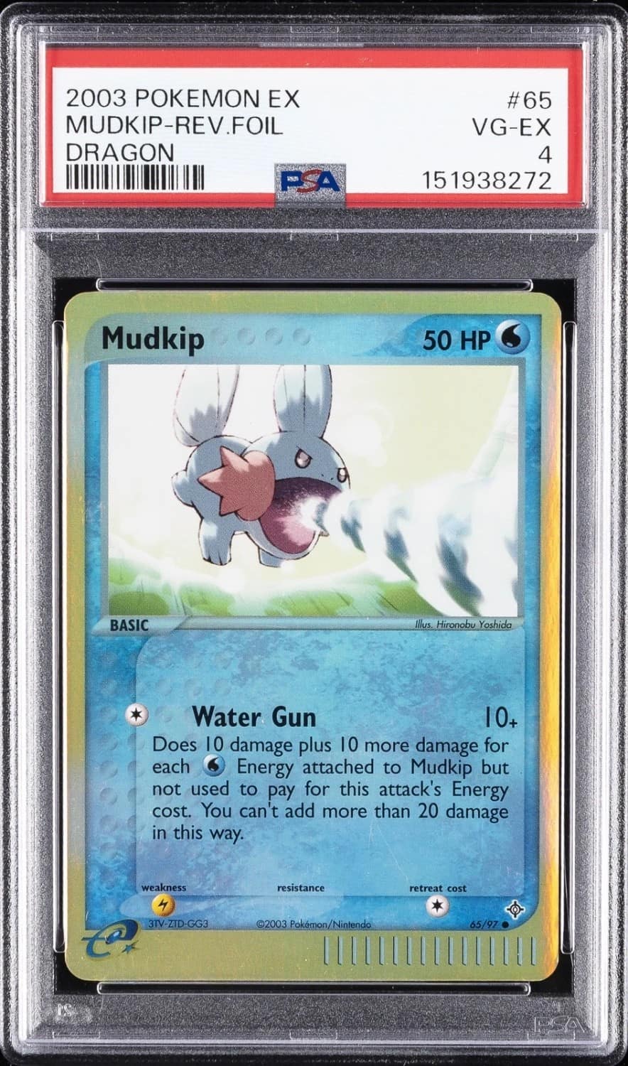 Mudkip