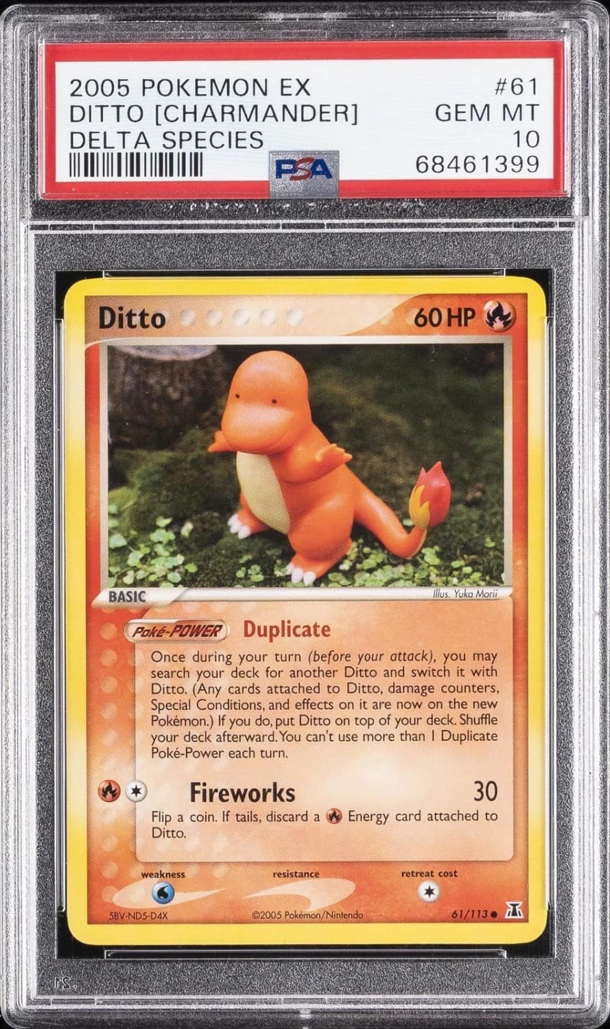 Ditto [charmander]