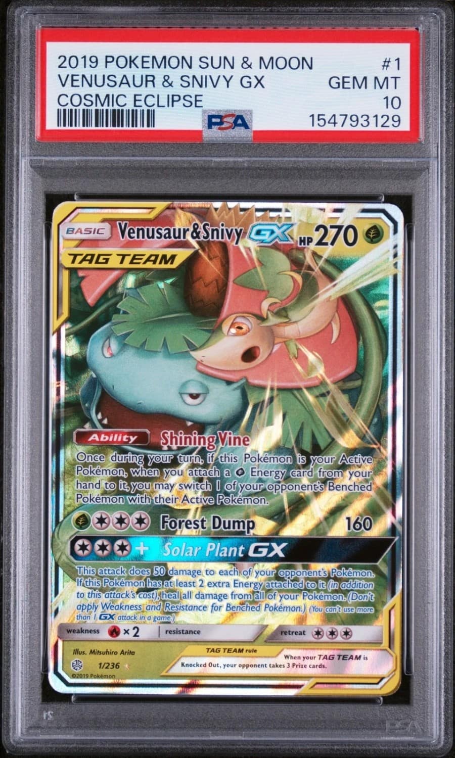 Venusaur & Snivy Gx