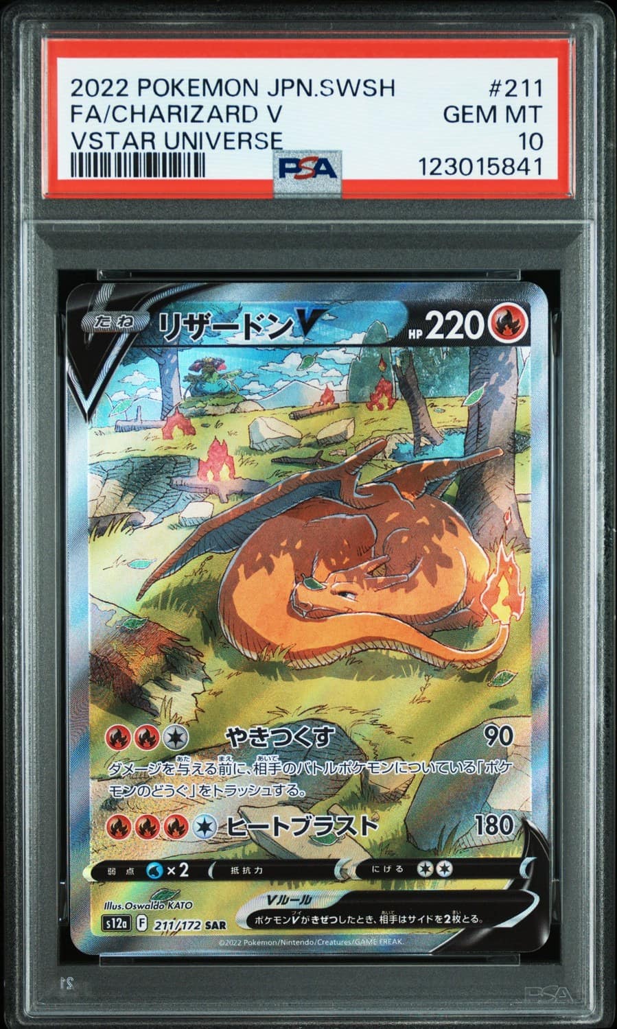 Charizard V