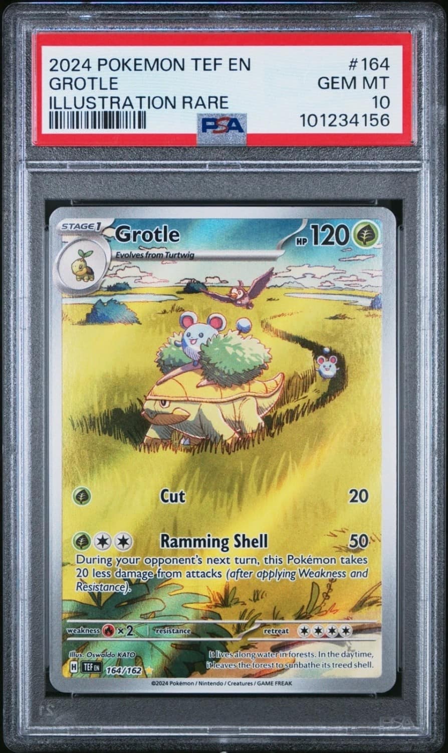Grotle