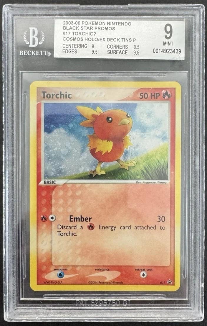 Torchic