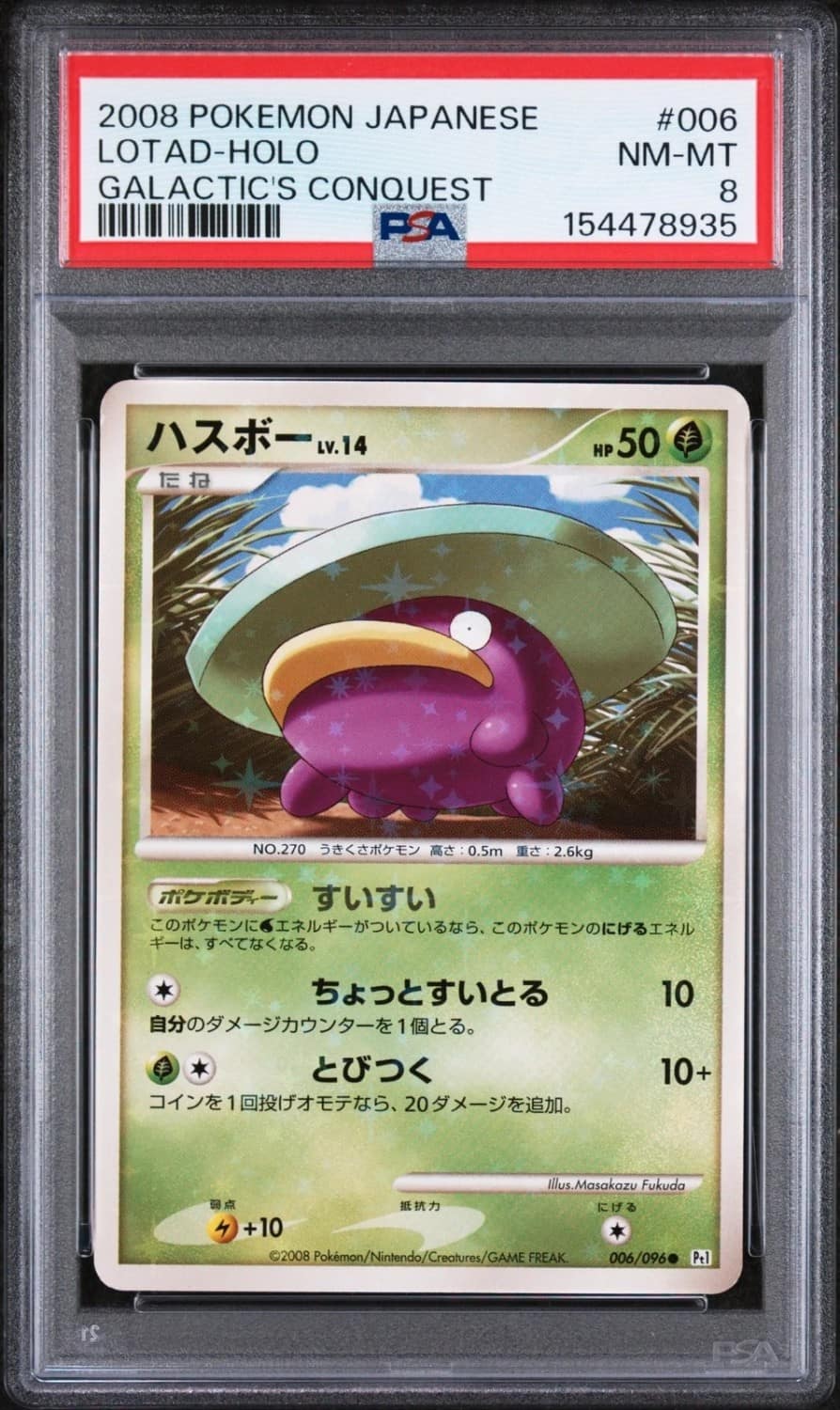 Lotad