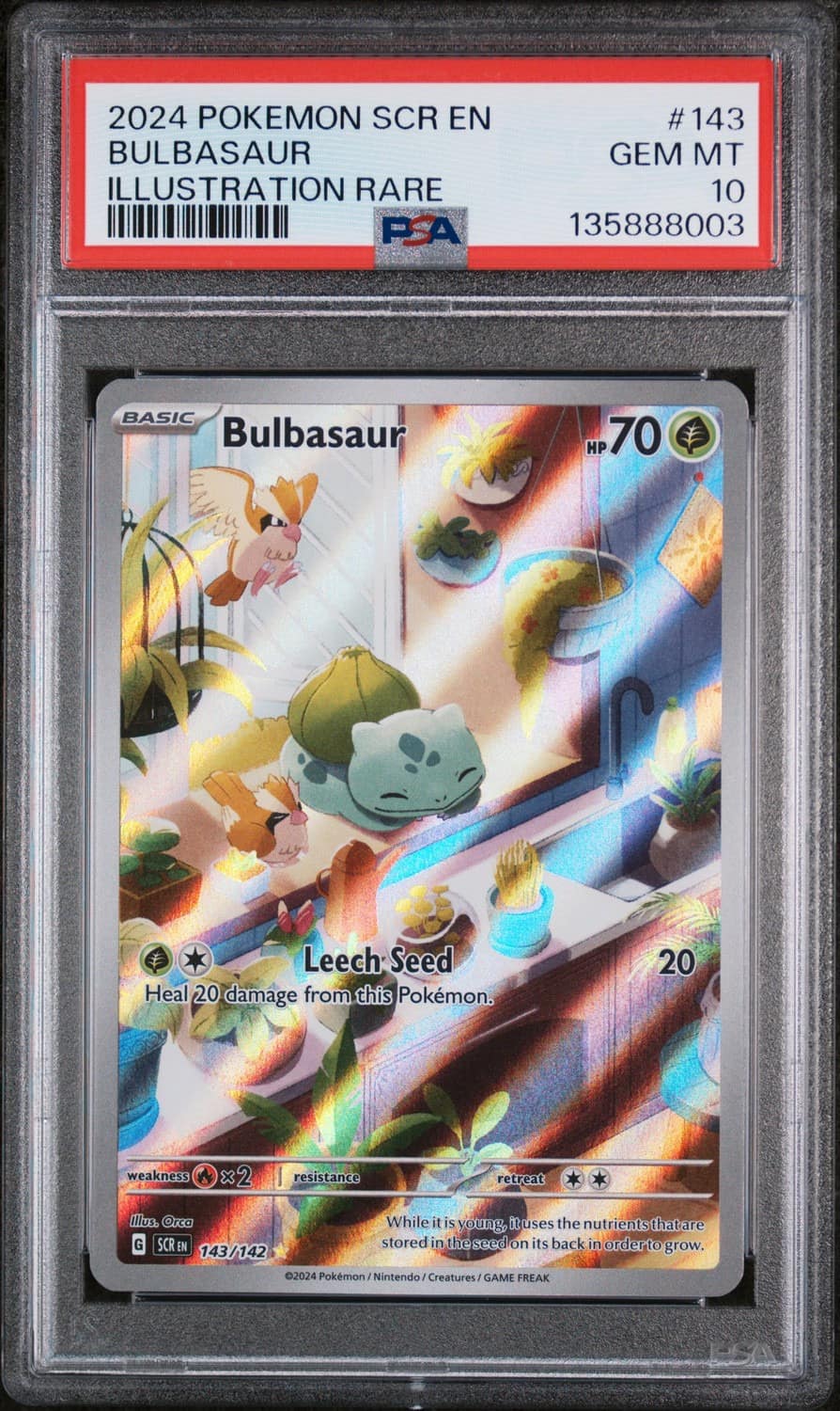 Bulbasaur