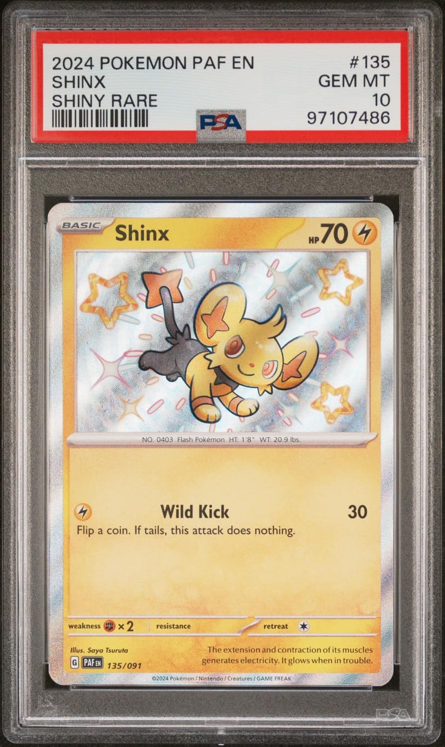 Shinx