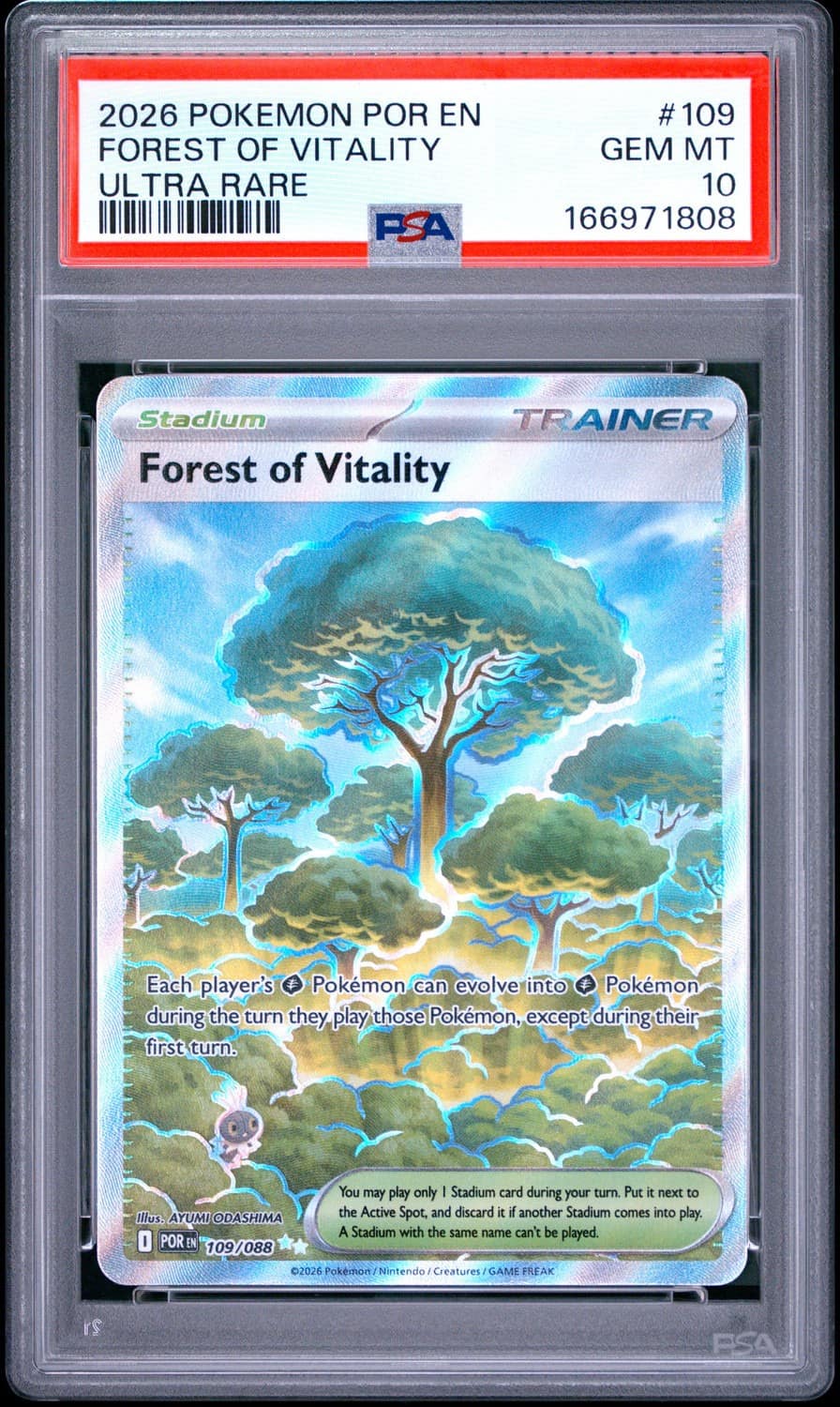 Forest Of Vitality