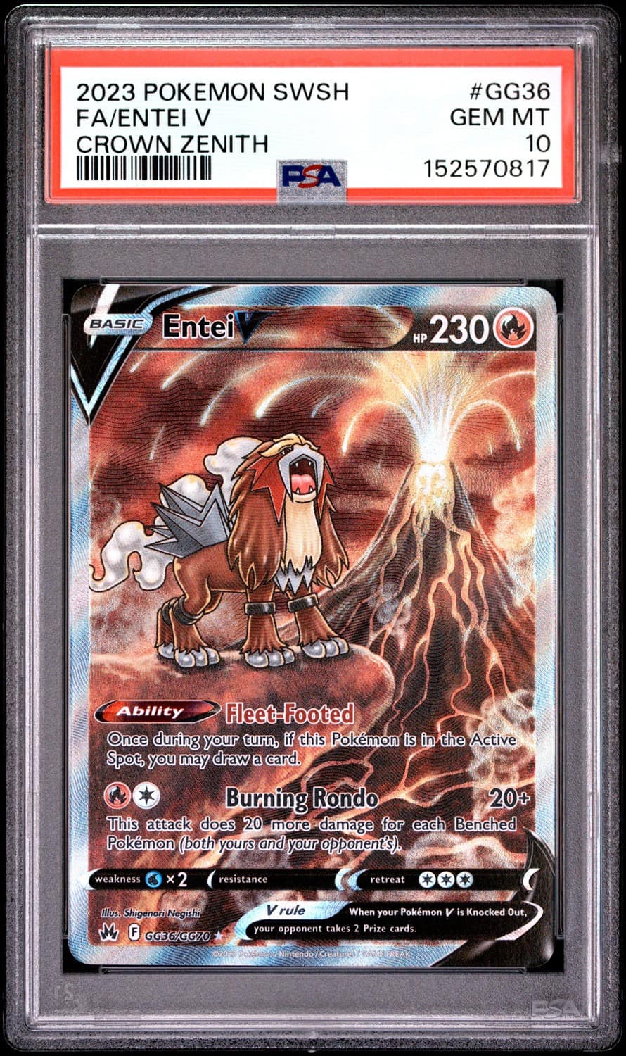 Entei V