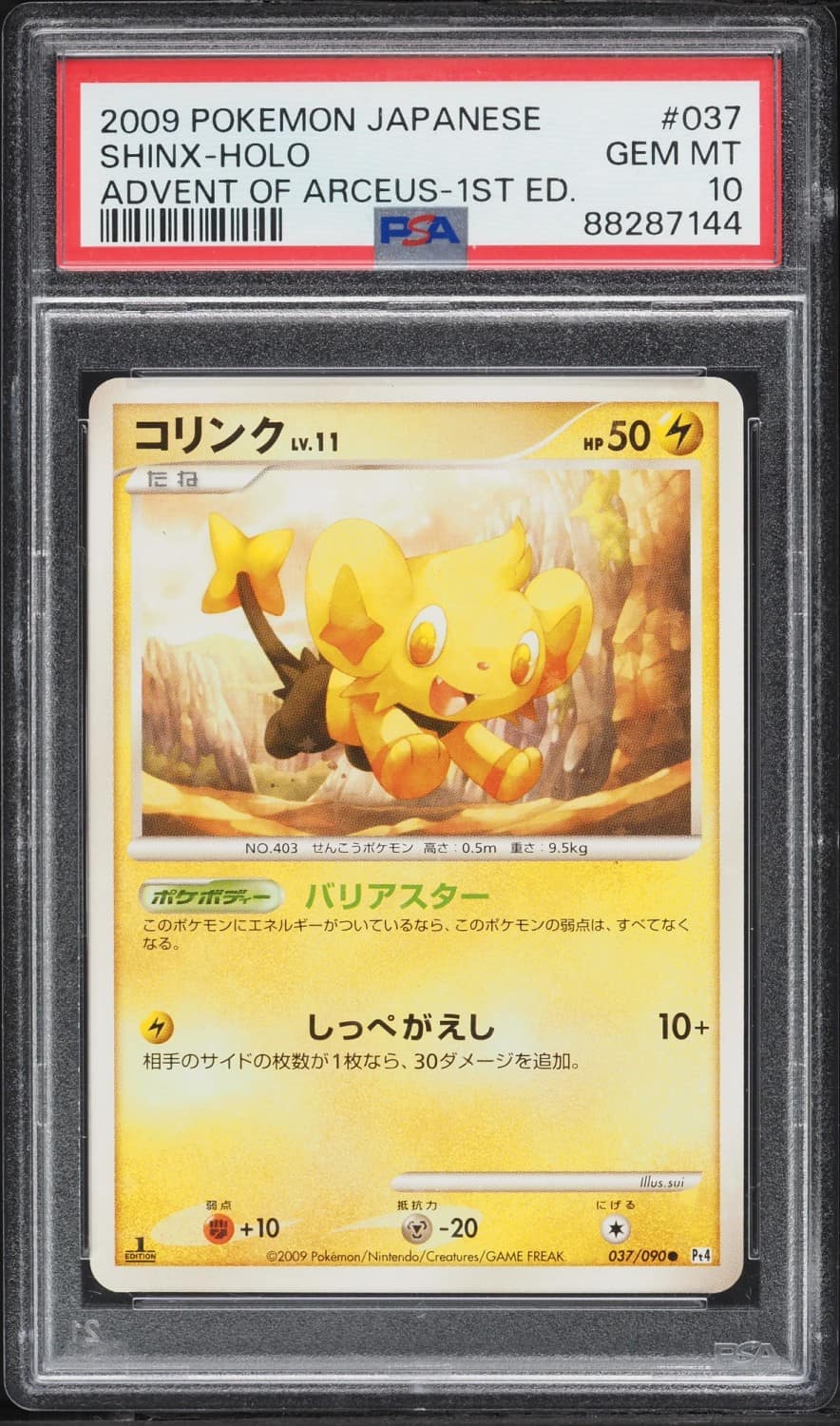 Shinx