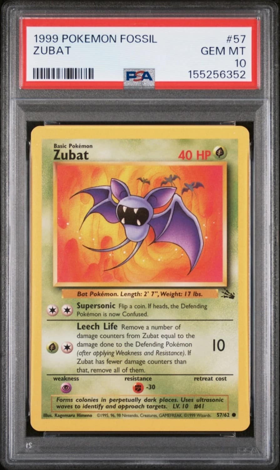 Zubat