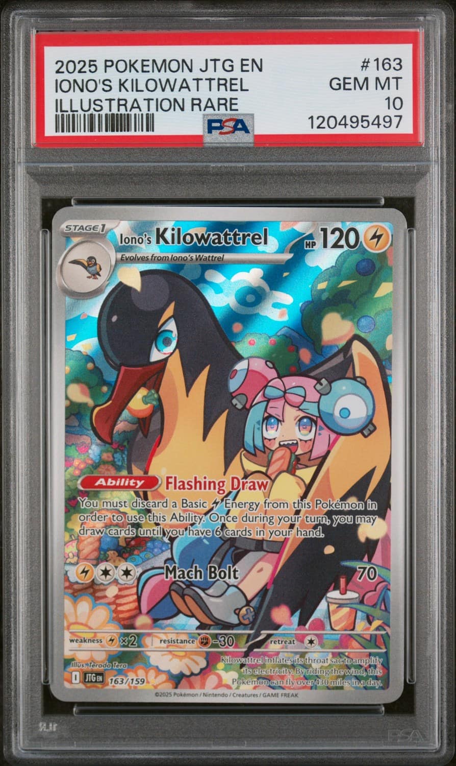 Iono'S Kilowattrel