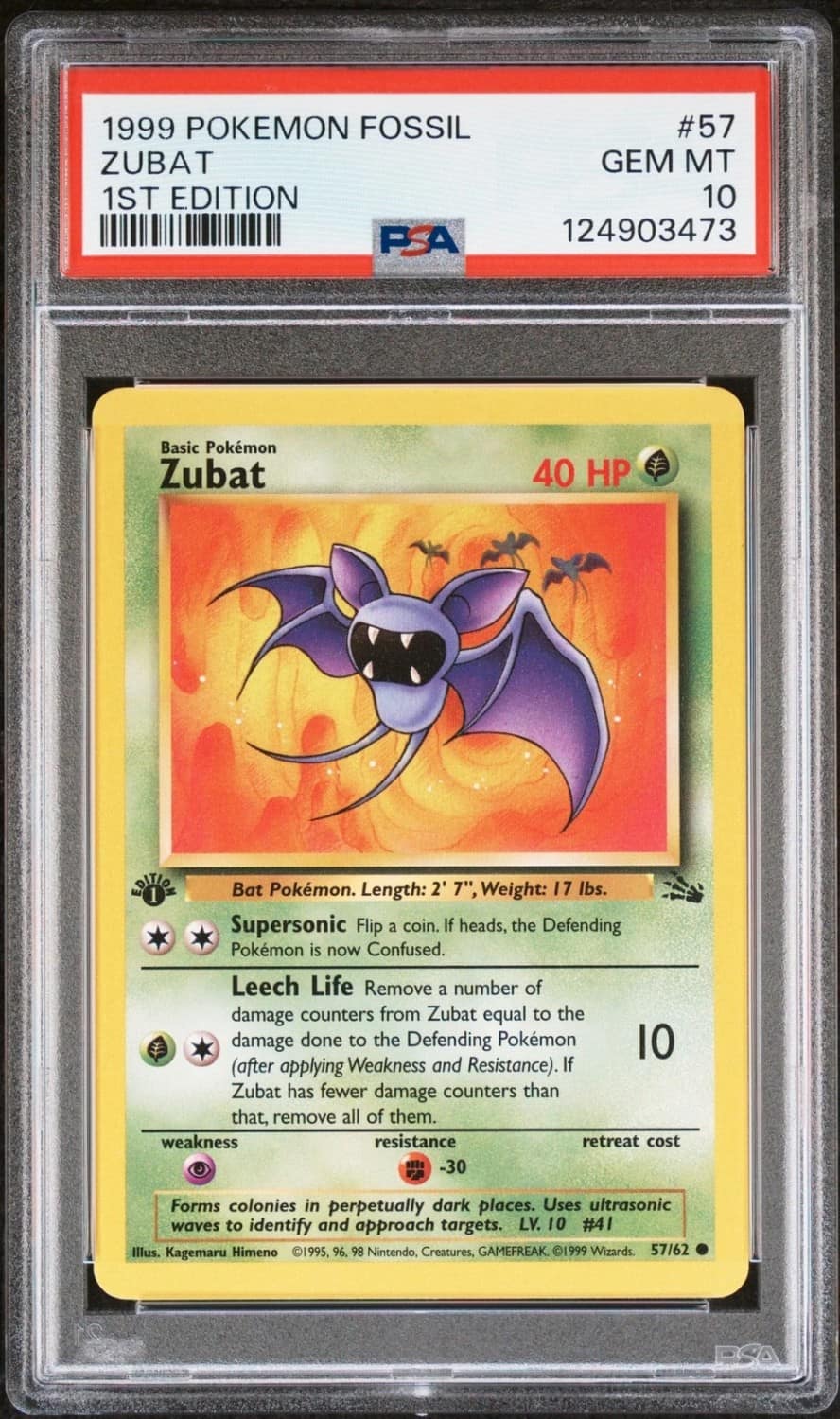 Zubat