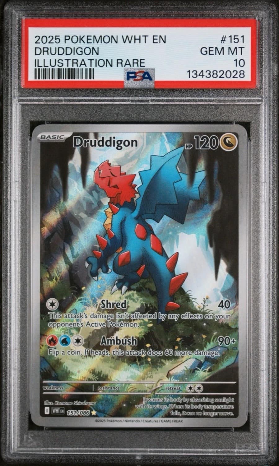 Druddigon