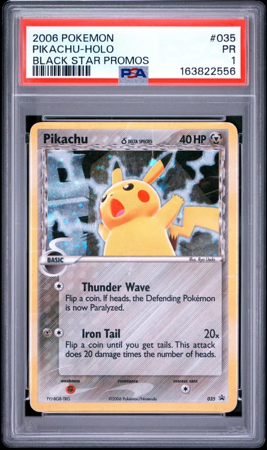 Pikachu D