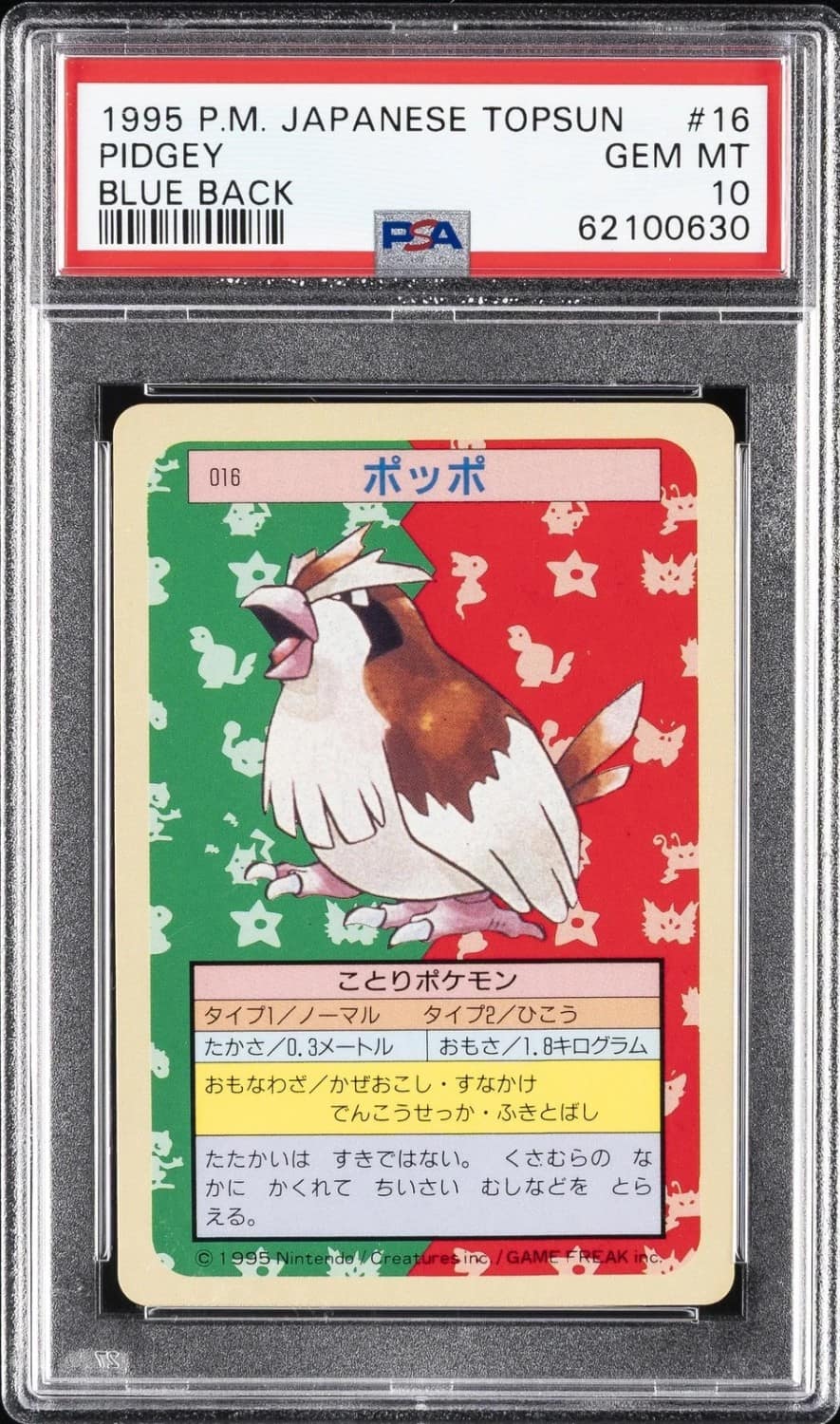 Pidgey