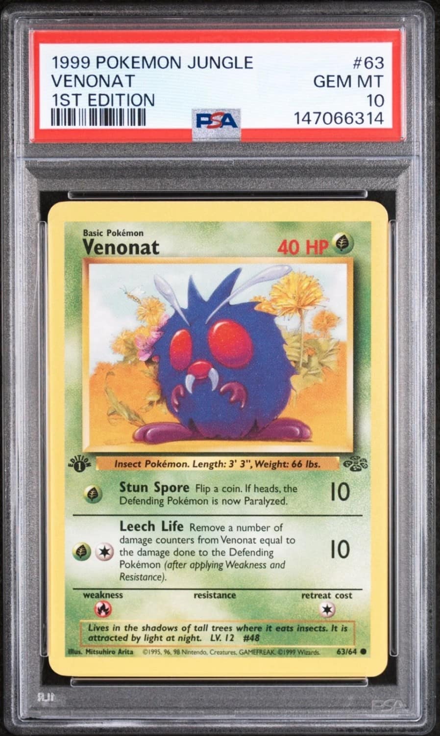 Venonat