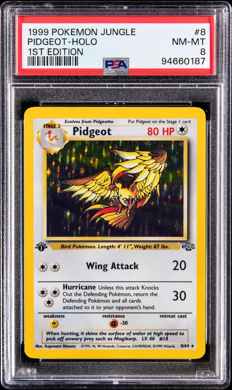 Pidgeot