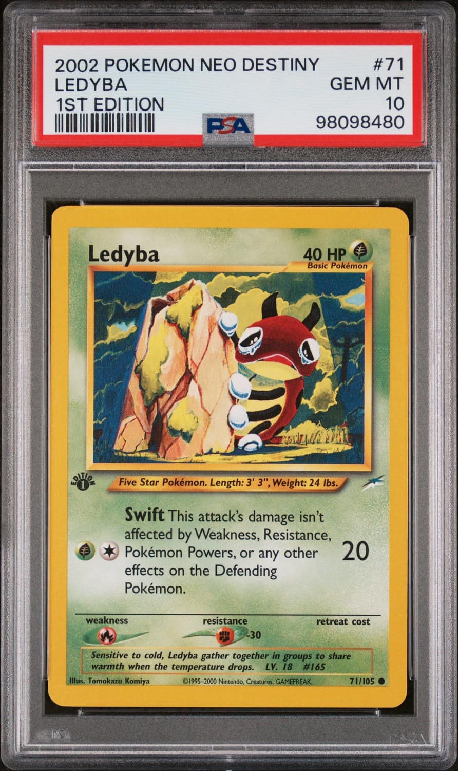 Ledyba