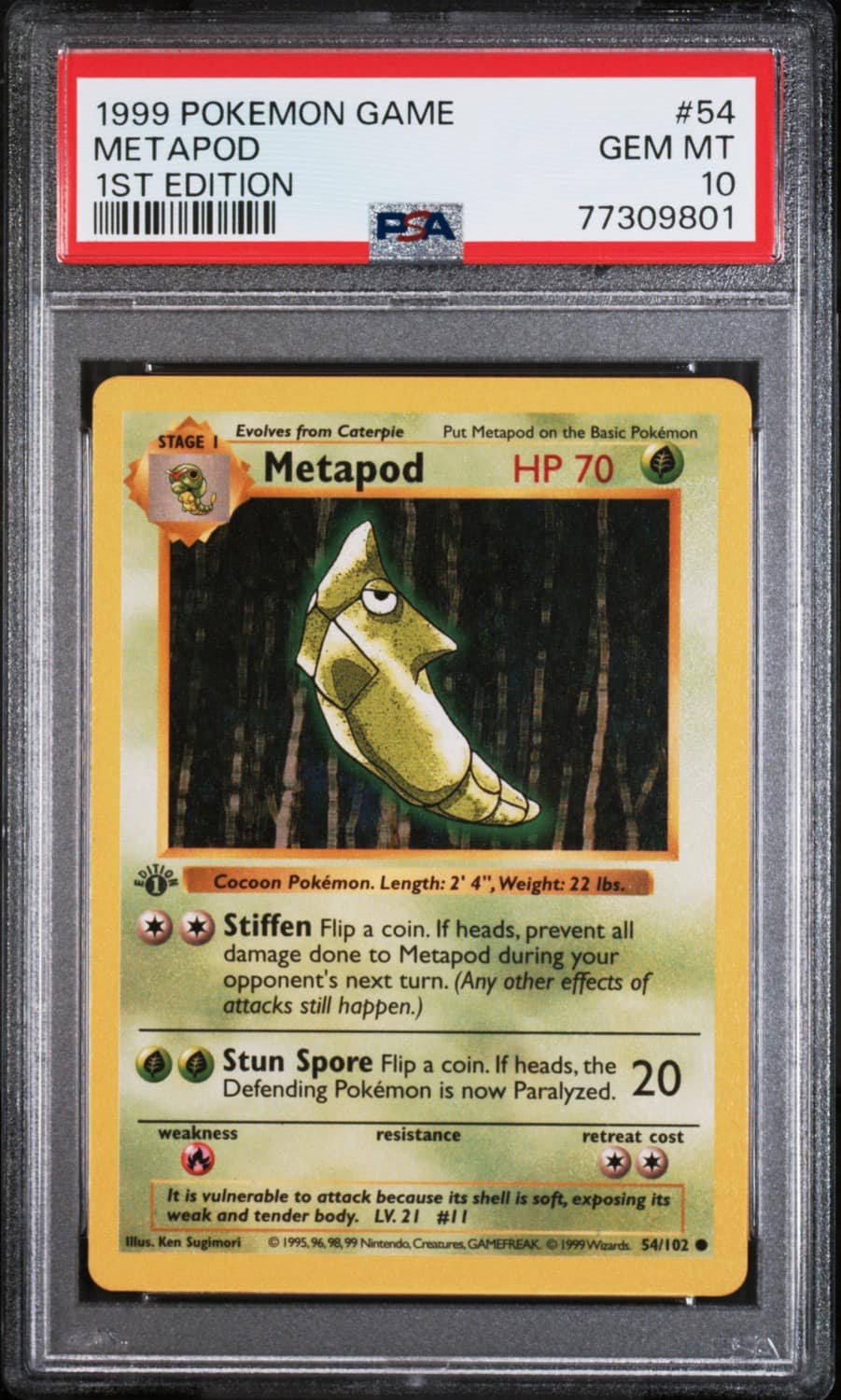 Metapod