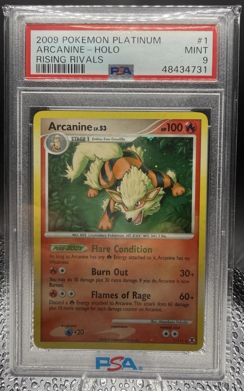 Arcanine
