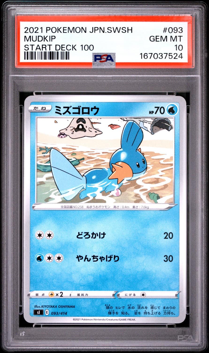 Mudkip