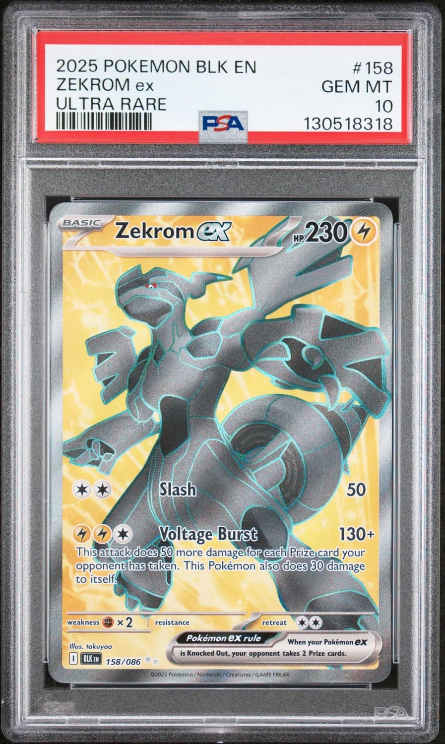 Zekrom Ex