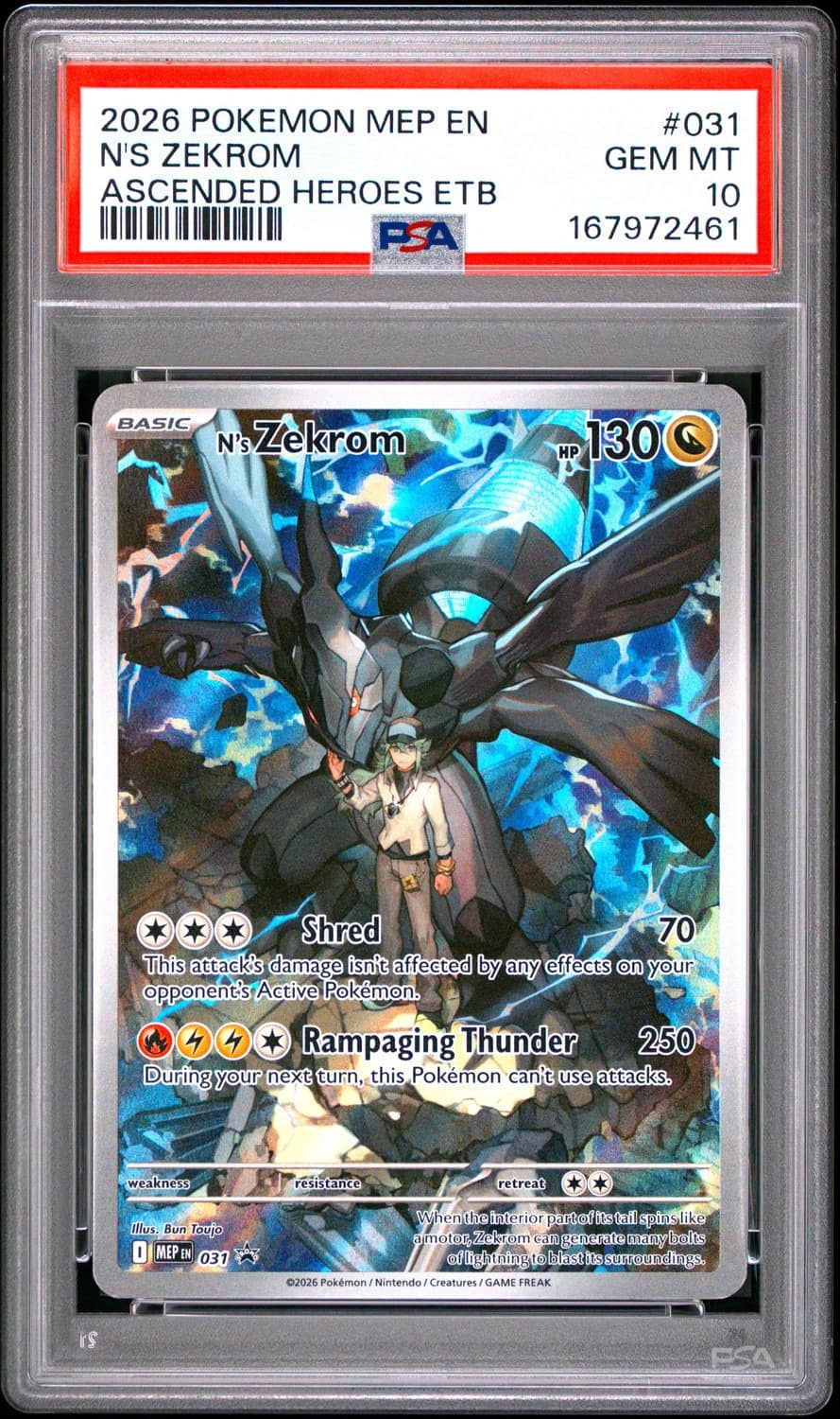 N'S Zekrom