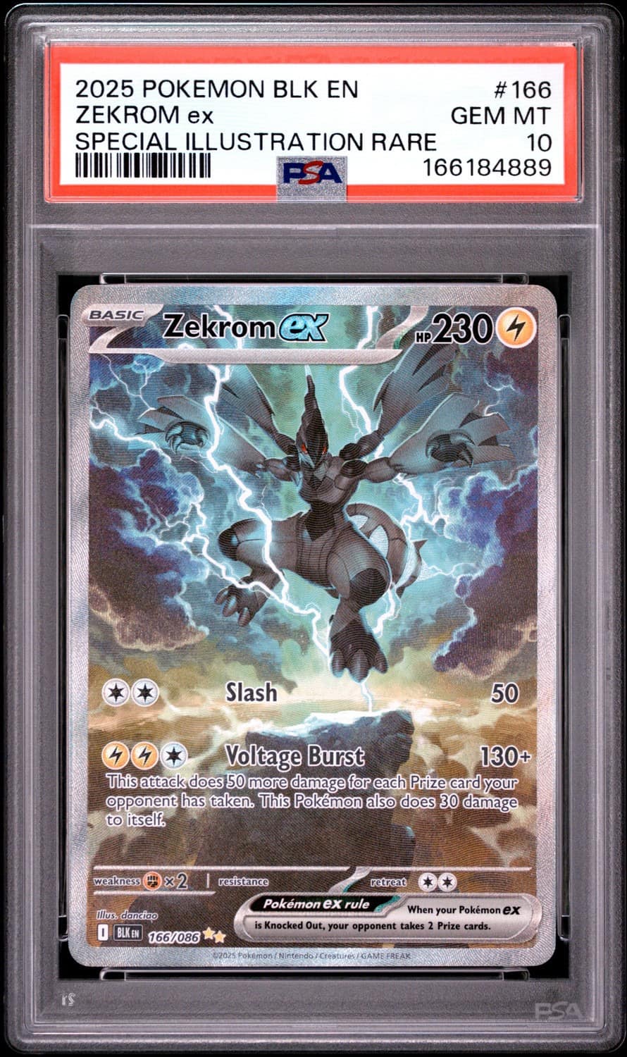 Zekrom Ex
