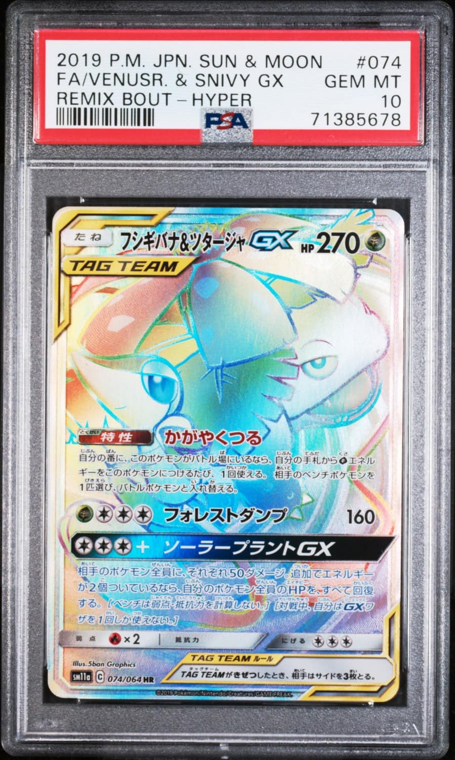 Venusaur & Snivy Gx