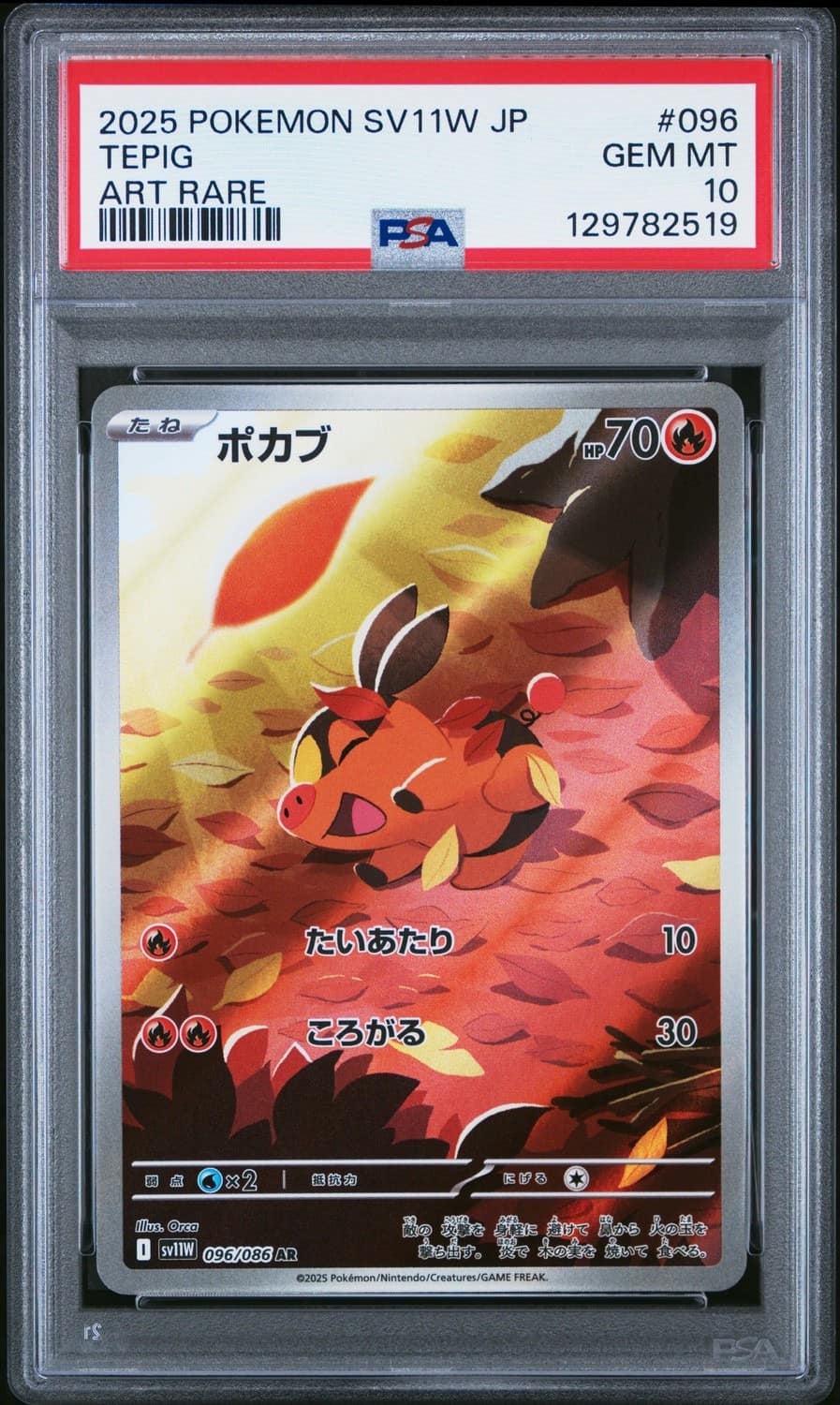 Tepig