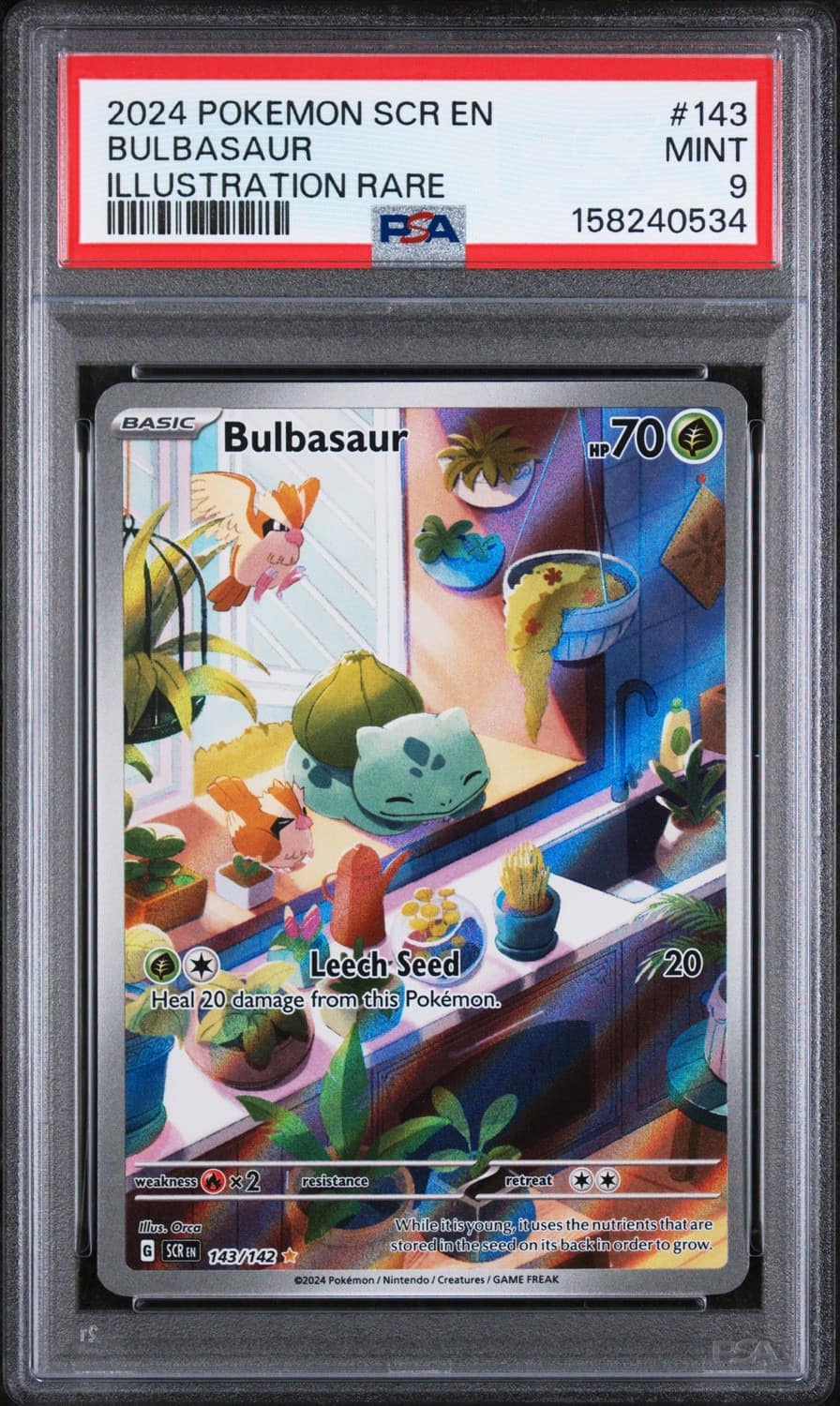 Bulbasaur