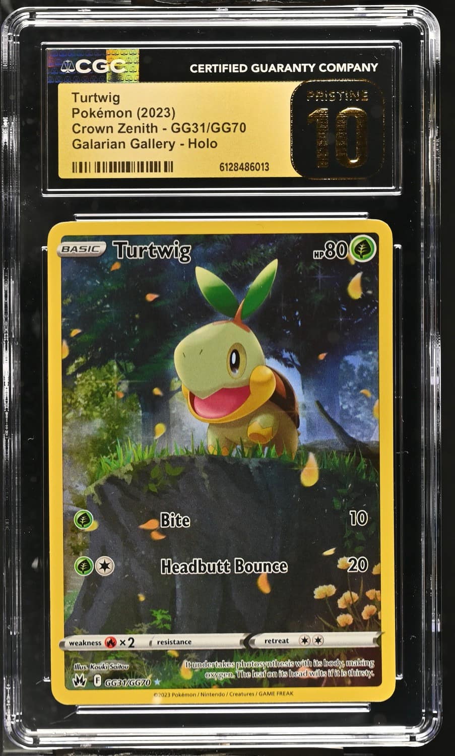 Turtwig