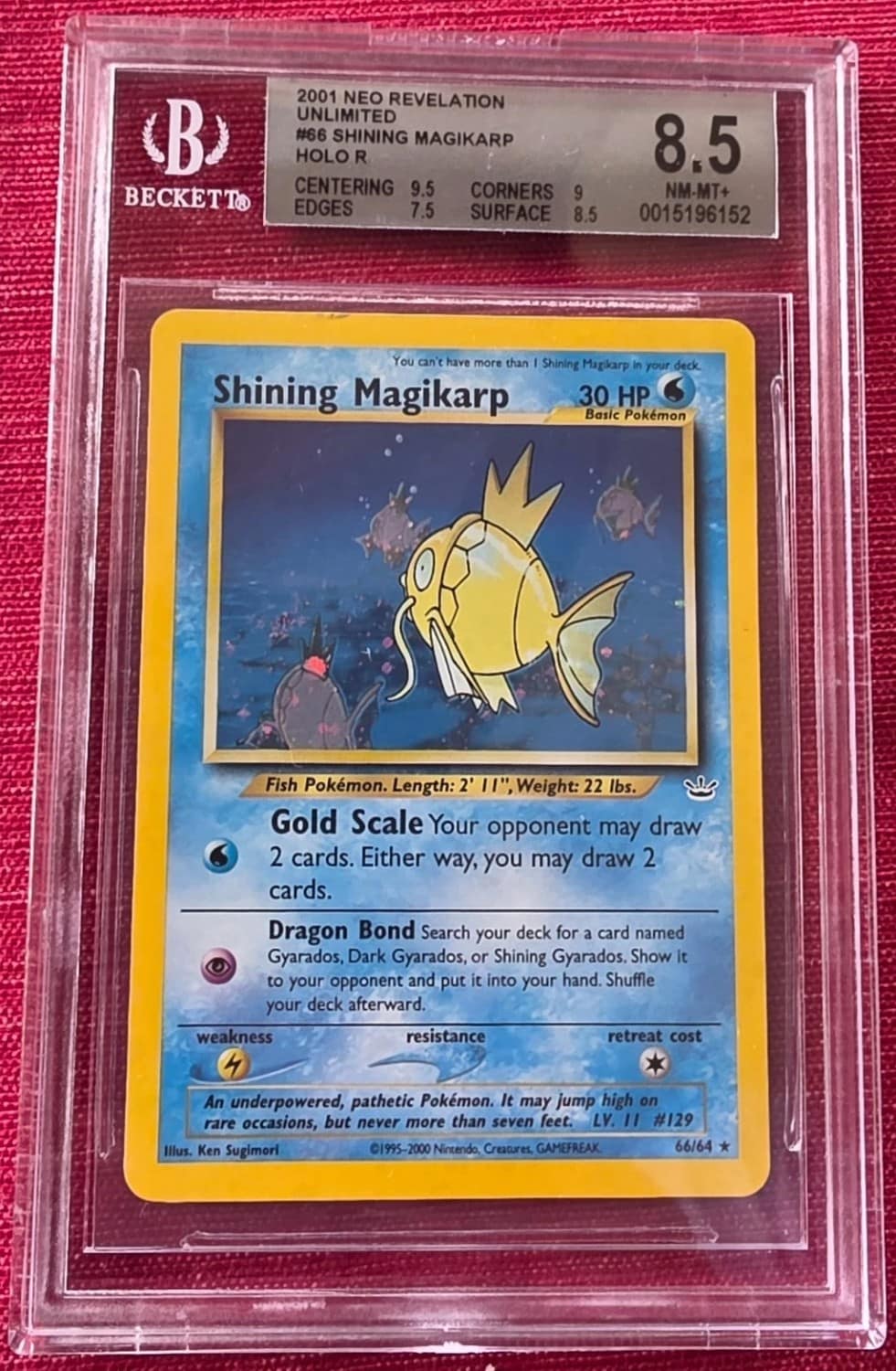 Shining Magikarp