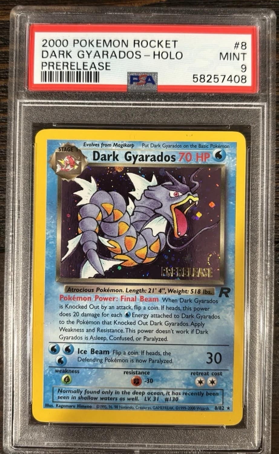 Dark Gyarados