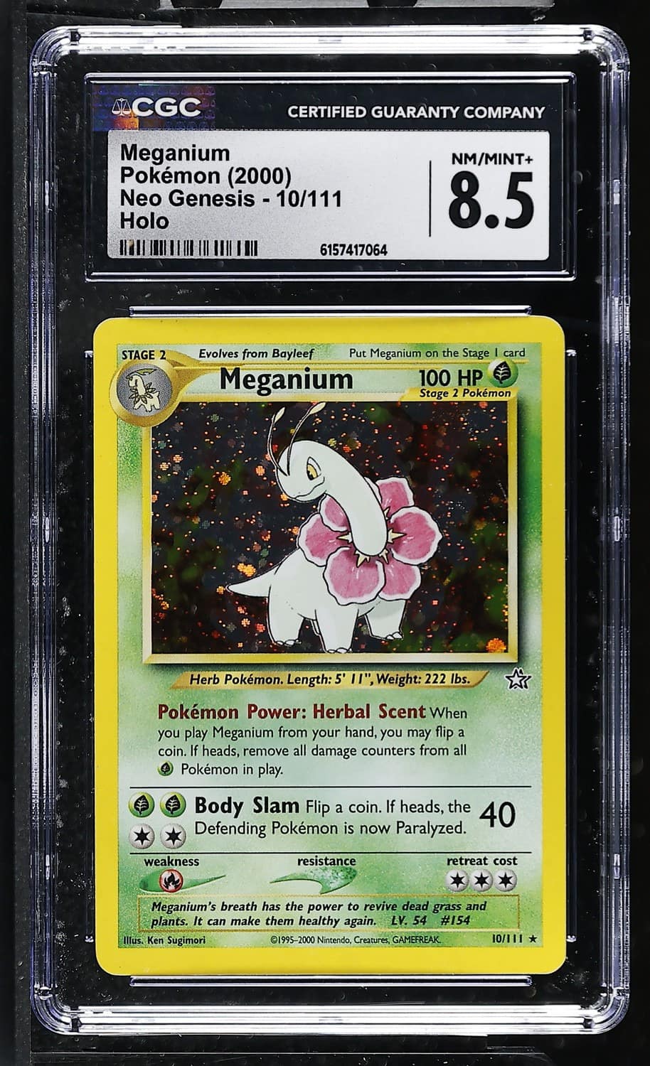 Meganium