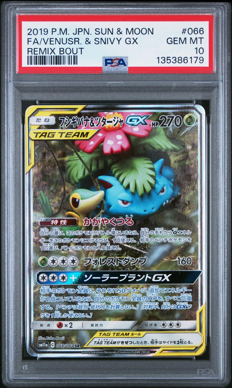 Venusaur & Snivy Gx
