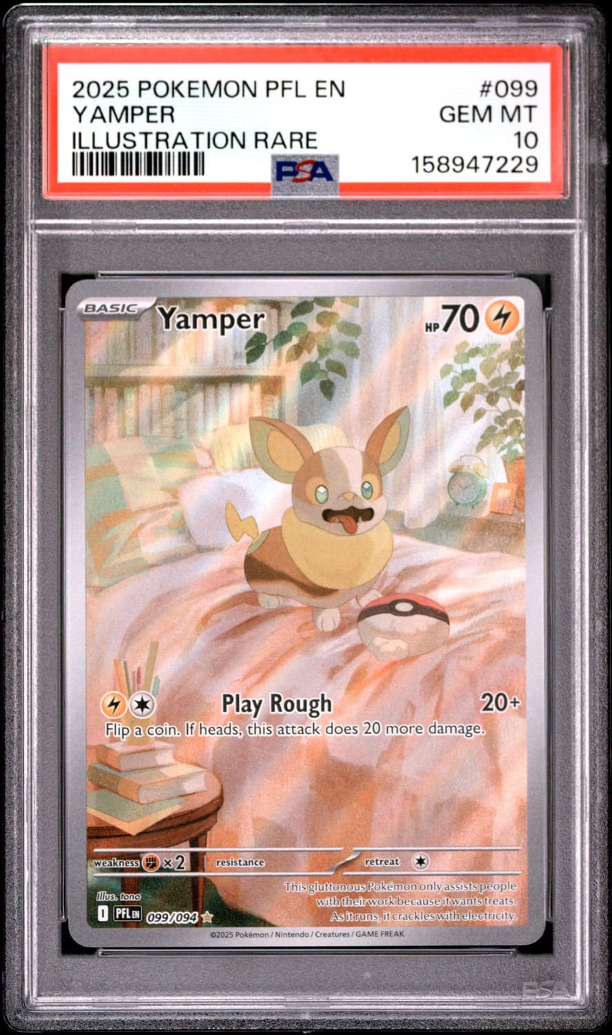 Yamper
