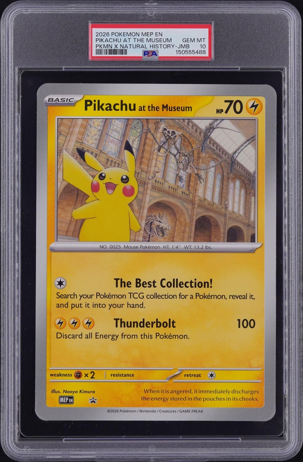 Pikachu At The Museum