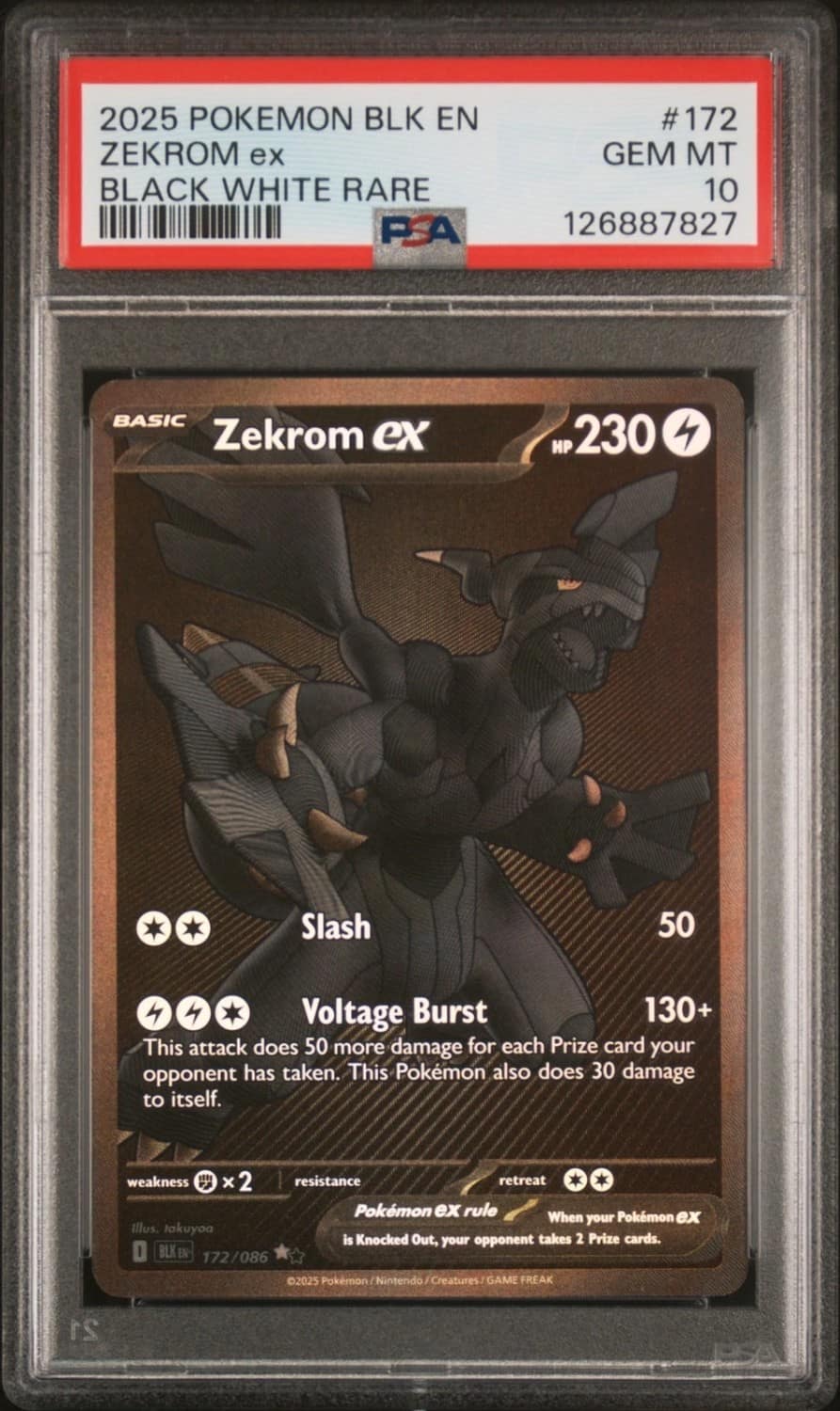 Zekrom Ex