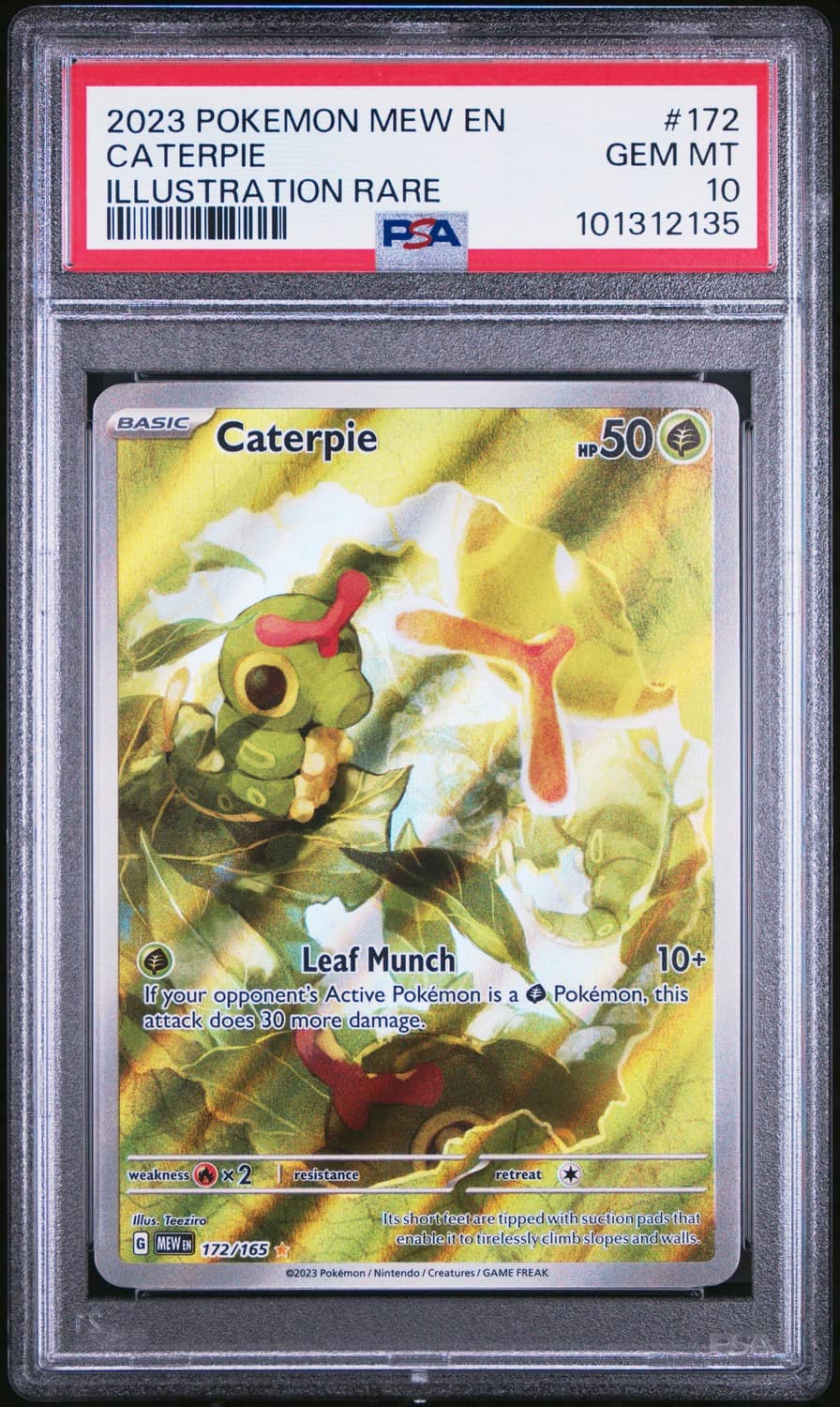 Caterpie