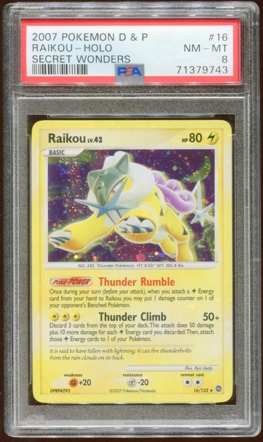 Raikou