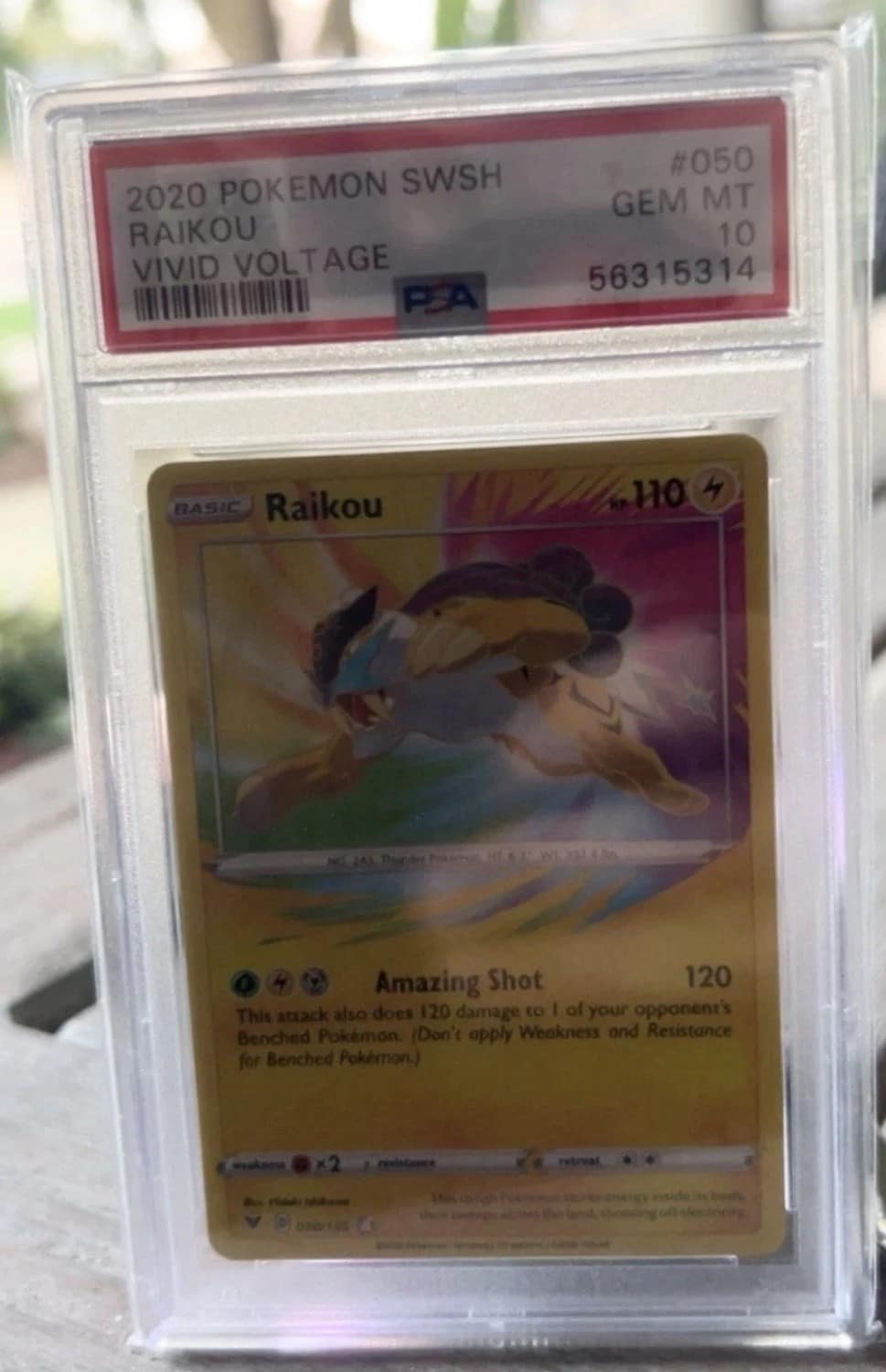 Raikou