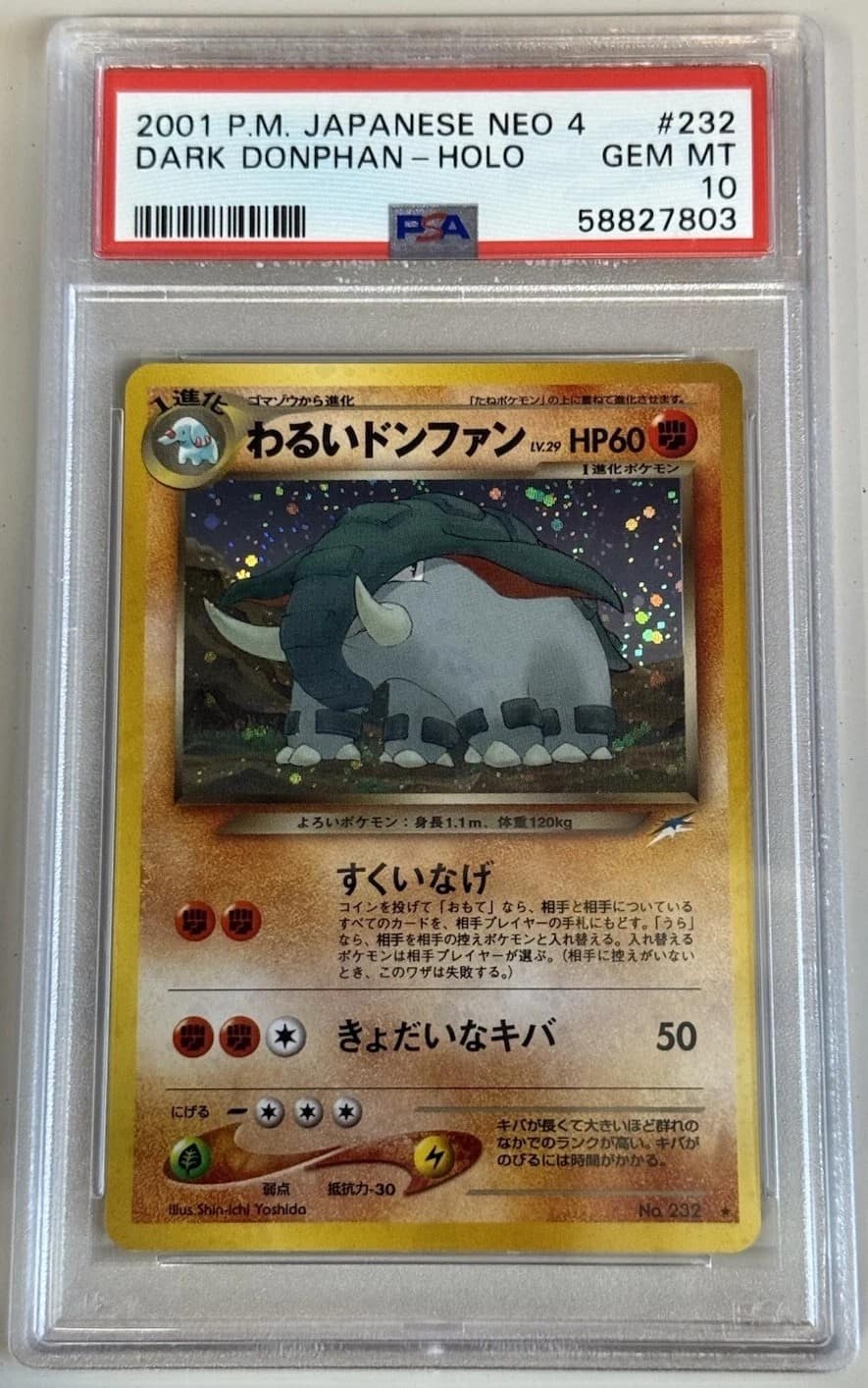Dark Donphan