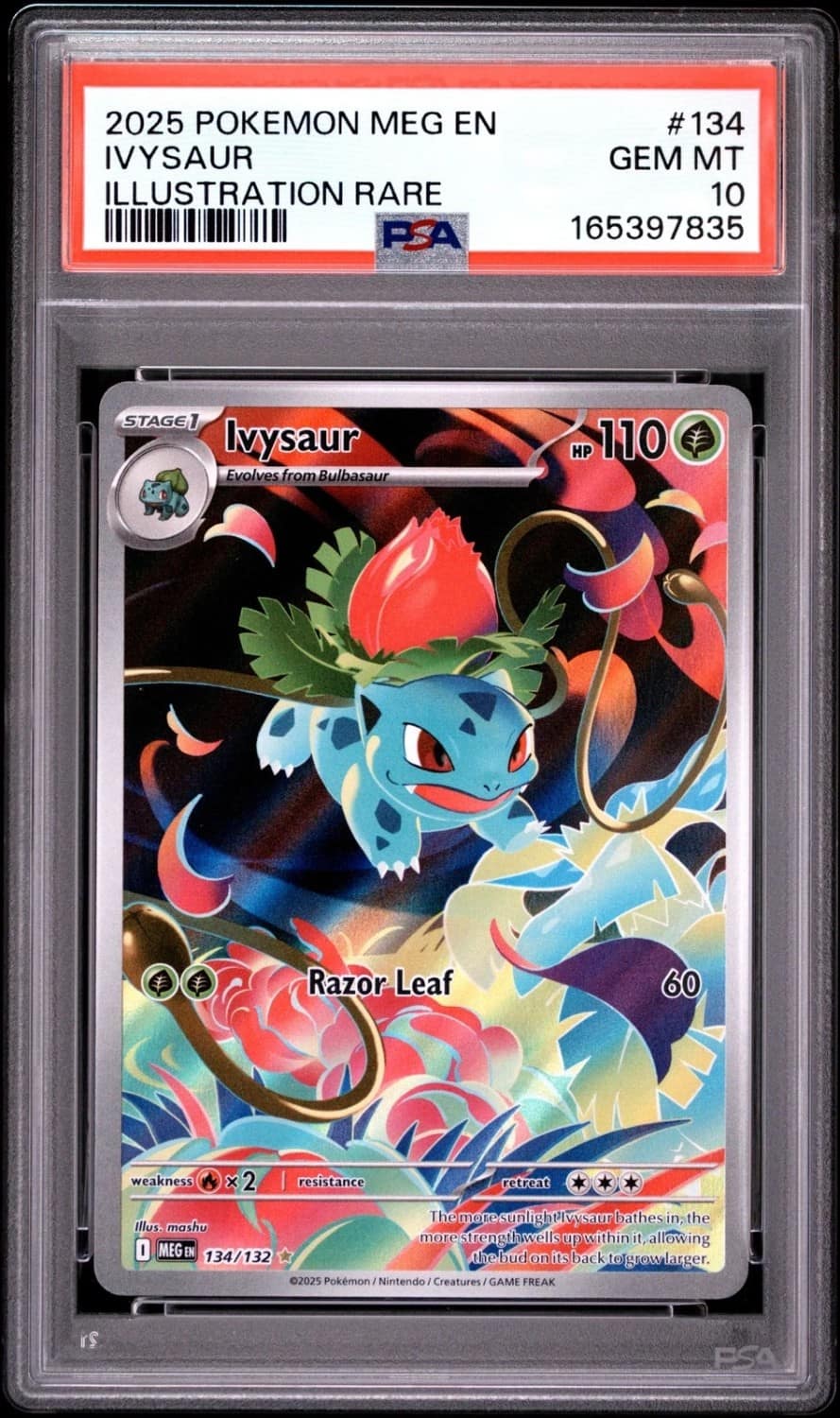 Ivysaur